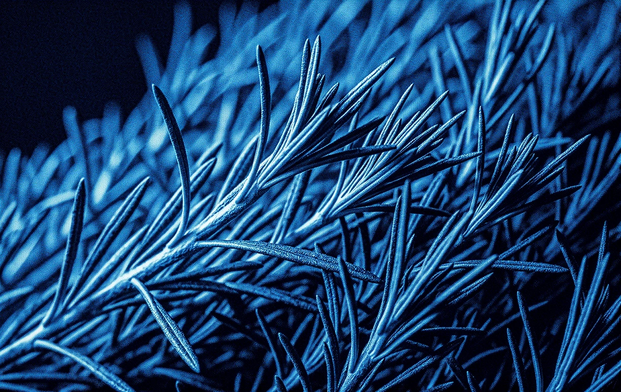 Botanische Struktur