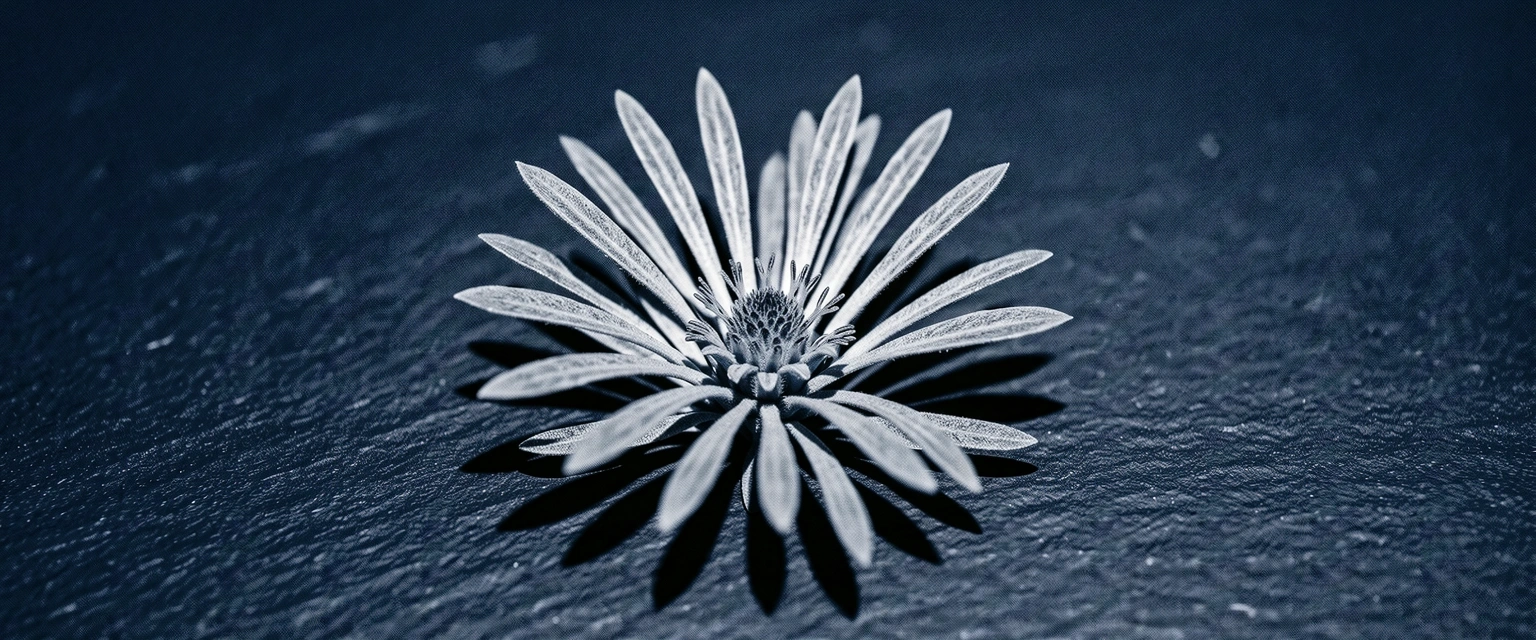 Botanische Klarheit