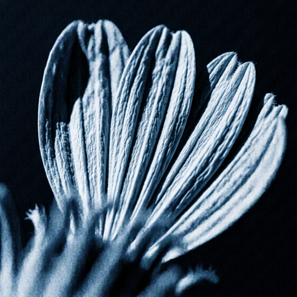 Deko Element